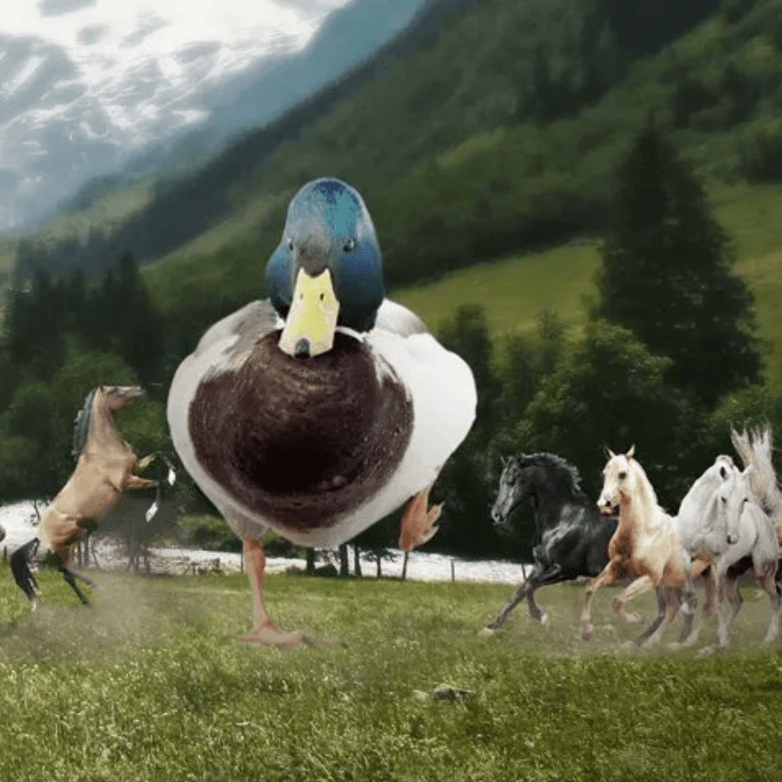 Duck-Sized Horses vs 1 Horse-Sized Duck
